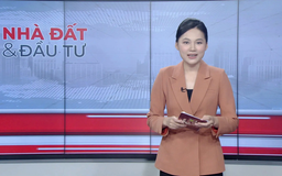 Bản tin Nhà đất và đầu tư | 26/08/2025