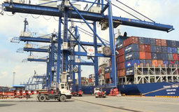 Động lực thúc đẩy thương mại bền vững giữa Việt Nam và EU