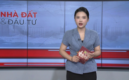 Bản tin Nhà đất và đầu tư | 27/08/2025