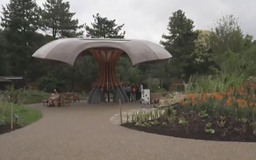 Kew Gardens ra mắt ‘vườn carbon’ thích ứng biến đổi khí hậu