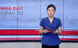 Bản tin Nhà đất và đầu tư | 28/08/2025