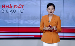 Bản tin Nhà đất và đầu tư | 29/08/2025
