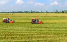 Hỗ trợ tiền cho người dân khi thu hồi đất nông nghiệp