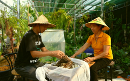 Làm vườn từ đồ tái chế