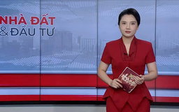 Bản tin Nhà đất và đầu tư | 03/08/2025