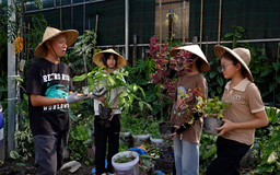 Làm vườn từ đồ tái chế | Nhịp sống Hà Nội | 03/08/2025