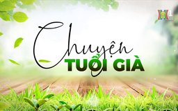 Bữa sáng với sức khỏe người cao tuổi | Chuyện tuổi già | 08/08/2025