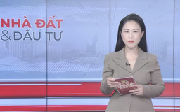 Bản tin Nhà đất và đầu tư | 30/08/2025