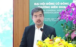 Bamboo Capital thay CEO thứ tư trong nửa năm