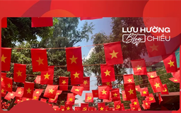 Cờ bay trăm ngọn cờ bay