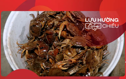 Mùa cua đã về chưa?