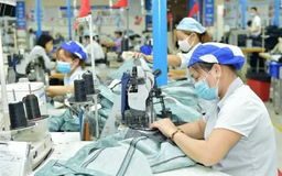 Gỗ, dệt may lạc quan vào thị trường Mỹ