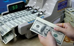 Đồng USD suy yếu trong tháng 8/2025