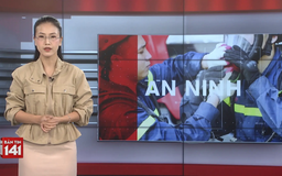 Bản tin 141 | 31/08/2025