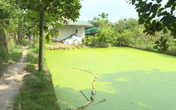 Cần sớm thực hiện kết luận của chính quyền cơ sở | Hộp thư truyền hình | 03/08/2025