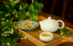Trà hoa nhài