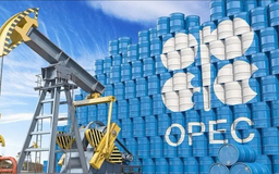 OPEC+ tăng sản lượng gần 550.000 thùng dầu vào tháng 9/2025