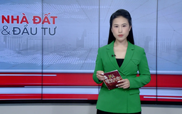 Bản tin Nhà đất và đầu tư | 04/08/2025