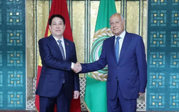 Chủ tịch nước Lương Cường hội đàm với Tổng Thư ký Liên đoàn Arab