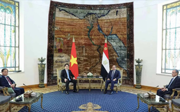 Tuyên bố chung Việt Nam - Ai Cập