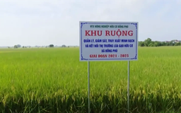 Phát triển nông sản chủ lực | Nông nghiệp nông thôn | 07/08/2025