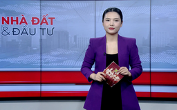 Bản tin Nhà đất và đầu tư | 07/08/2025