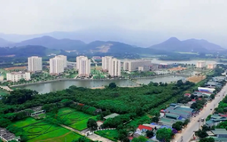 Thị trường đất nền hạ nhiệt, giao dịch giảm