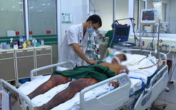 Phòng, chống bệnh liên cầu lợn sang người