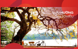 Hà Nội một sáng thu rơi