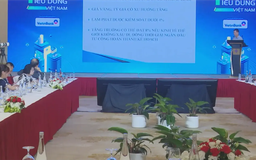 Tiêu dùng thông minh định hình chiến lược kinh doanh mới