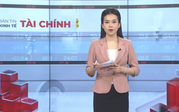 Bản tin Kinh tế Tài chính | 11/09/2025