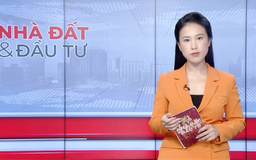 Bản tin Nhà đất và đầu tư | 11/09/2025