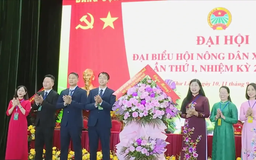 Chuyển đổi số mở đường cho nông nghiệp chất lượng cao