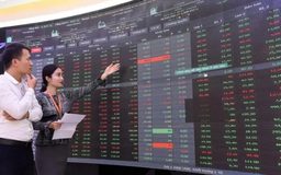 Thị trường chứng khoán trước kỳ nâng hạng