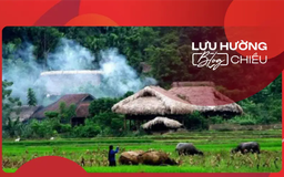 Khói lam chiều neo giữ hồn quê