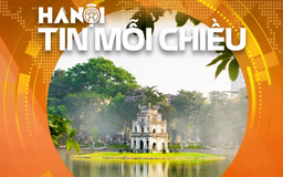 Hà Nội và hành trình đi tìm bầu không khí trong lành | Hà Nội tin mỗi chiều
