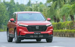 Thị trường xe hybrid Việt Nam tăng trưởng mạnh tháng 8