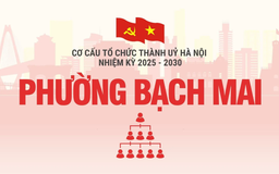Cơ cấu tổ chức Đảng ủy phường Bạch Mai nhiệm kỳ 2025-2030