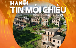 Hà Nội mở chiến dịch 90 ngày 'làm sạch' dữ liệu đất đai | Hà Nội tin mỗi chiều