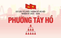 Cơ cấu tổ chức Đảng ủy phường Tây Hồ nhiệm kỳ 2025-2030