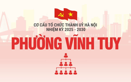 Cơ cấu tổ chức Đảng ủy phường Vĩnh Tuy nhiệm kỳ 2025-2030