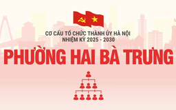 Cơ cấu tổ chức Đảng ủy phường Hai Bà Trưng nhiệm kỳ 2025-2030