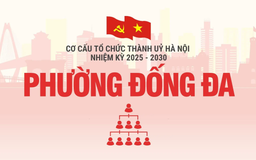 Cơ cấu tổ chức Đảng ủy phường Đống Đa nhiệm kỳ 2025-2030