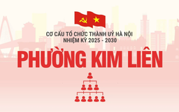 Cơ cấu tổ chức Đảng uỷ phường Kim Liên nhiệm kỳ 2025-2030