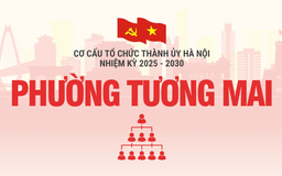Cơ cấu tổ chức Đảng ủy phường Tương Mai nhiệm kỳ 2025-2030