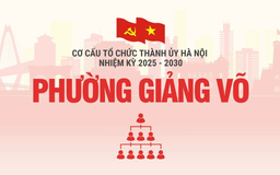Cơ cấu tổ chức Đảng ủy phường Giảng Võ nhiệm kỳ 2025-2030
