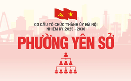 Cơ cấu tổ chức Đảng ủy phường Yên Sở nhiệm kỳ 2025-2030