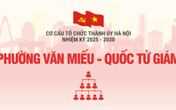 Cơ cấu tổ chức Đảng ủy phường Văn Miếu - Quốc Tử Giám nhiệm kỳ 2025-2030