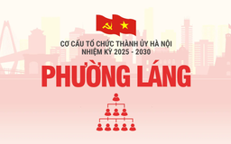 Cơ cấu tổ chức Đảng ủy phường Láng nhiệm kỳ 2025-2030