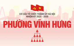 Cơ cấu tổ chức Đảng ủy phường Vĩnh Hưng nhiệm kỳ 2025-2030